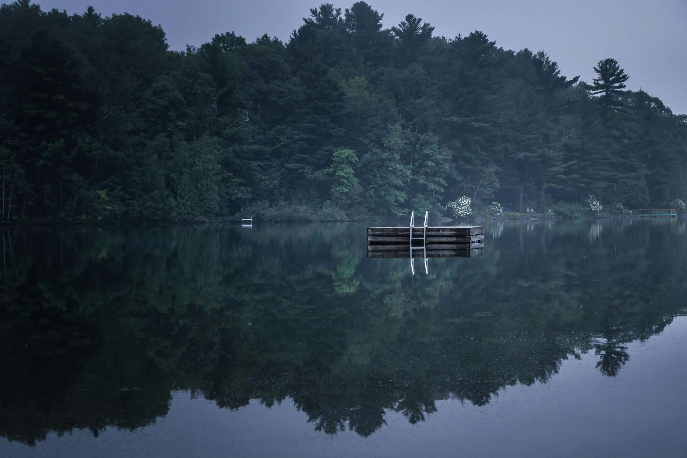 an image of the shore of a lake that is calm