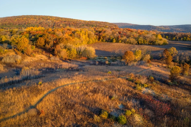 an aerial view of the land around fall colors