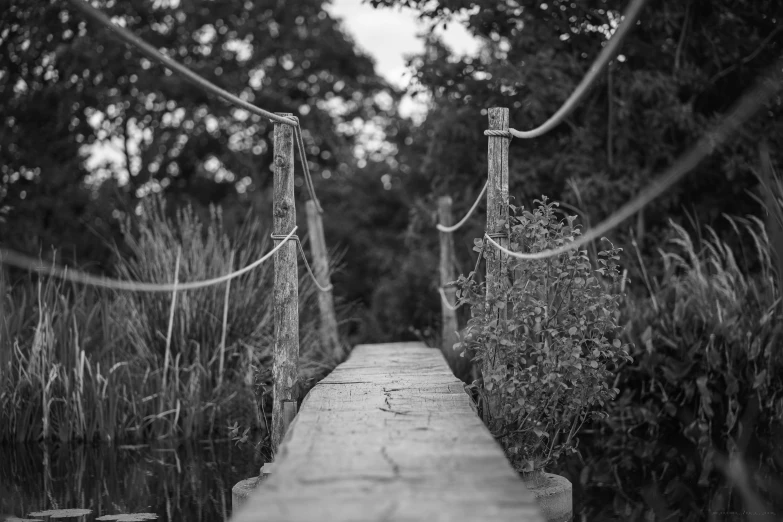 black and white po of bridge with trees and bushes