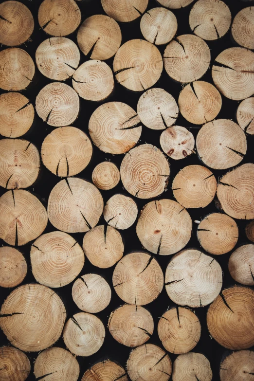 many logs that are stacked on each other