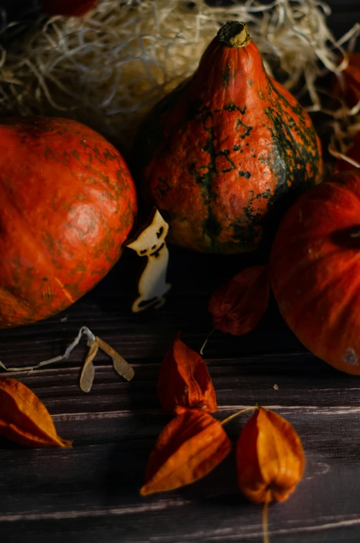 two gourds, three squashs and some kind of hay