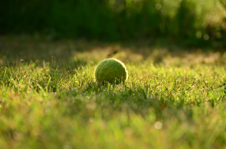 a single tennis ball is laying on the grass