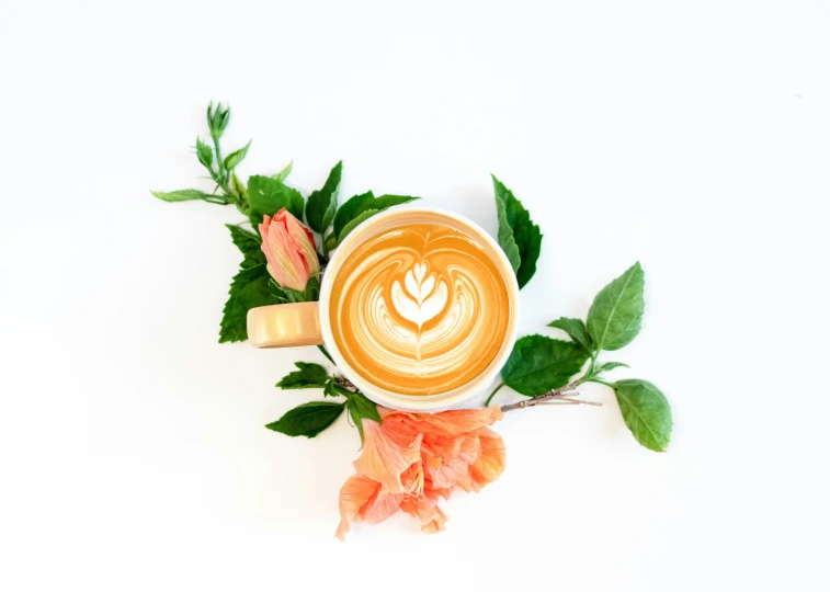 an overhead view of the cup of coffee surrounded by foliage