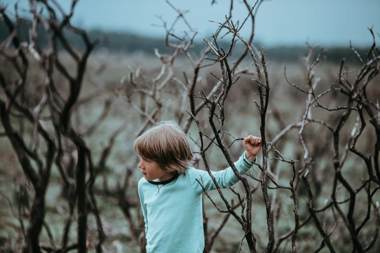 a little boy standing on the end of a dead tree