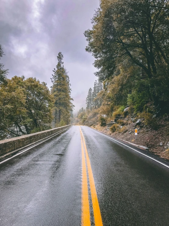 the wet road is lined with trees as it moves through the cloudy sky