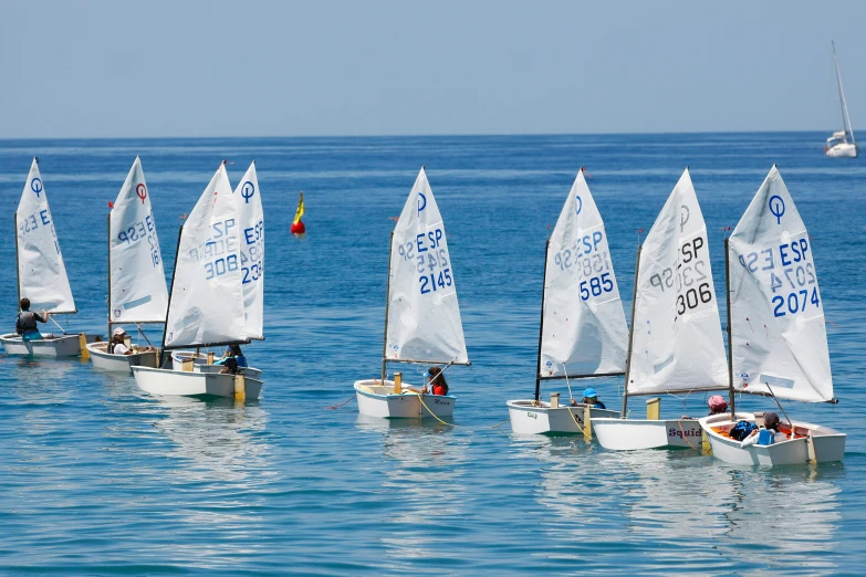 some small sailboats are out in the blue water