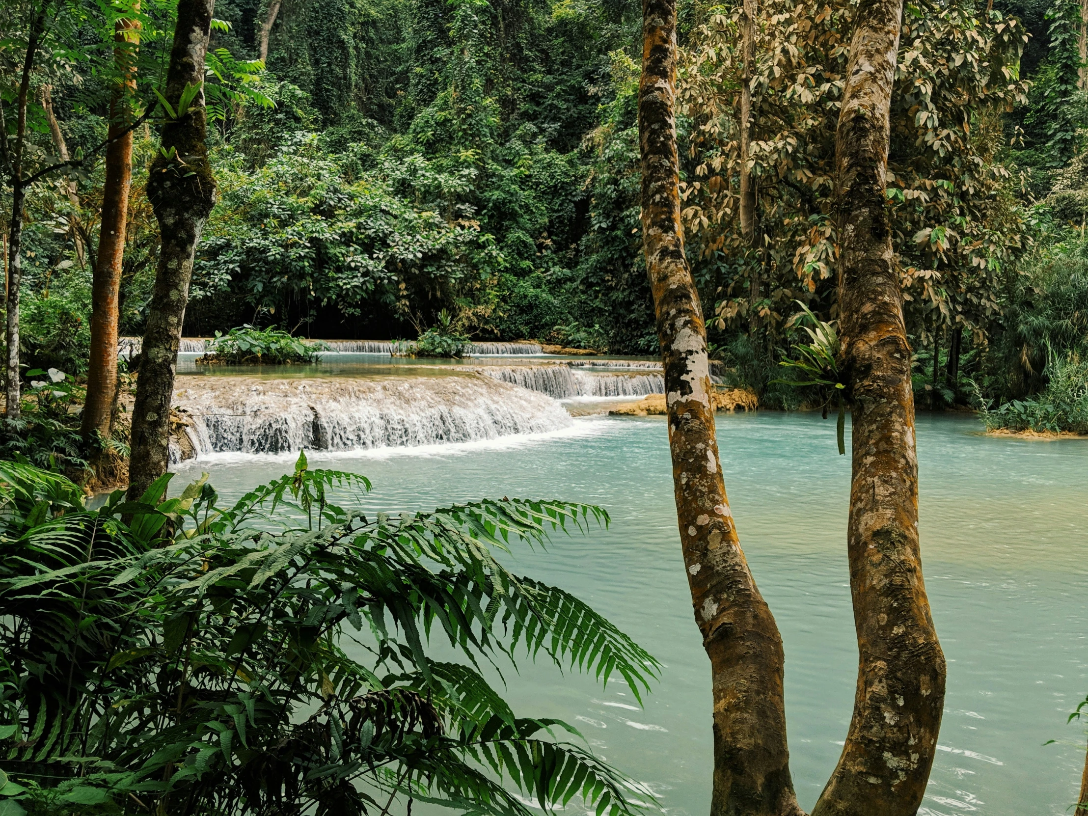 a river is surrounded by green trees and some water