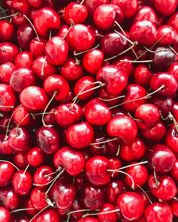 a lot of cherries in a bucket for sale