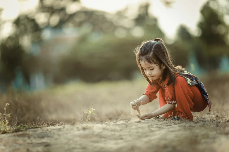 an adorable  playing in a field of tall grass