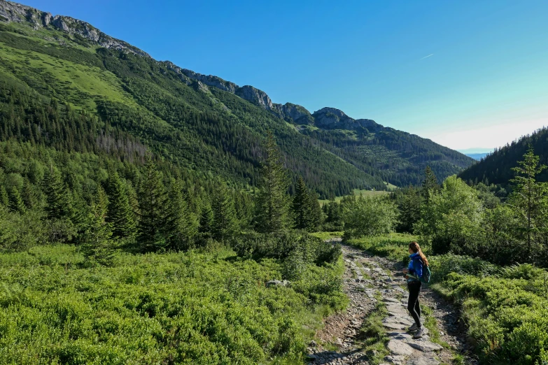 a woman hiking up a grassy hill