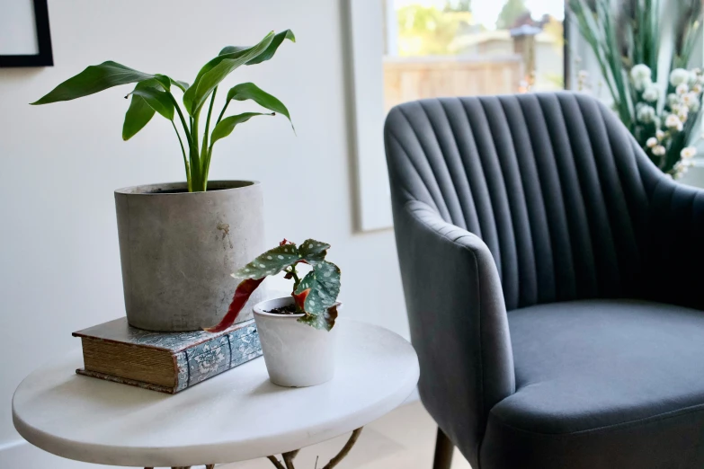 chair and table with a plant in the middle