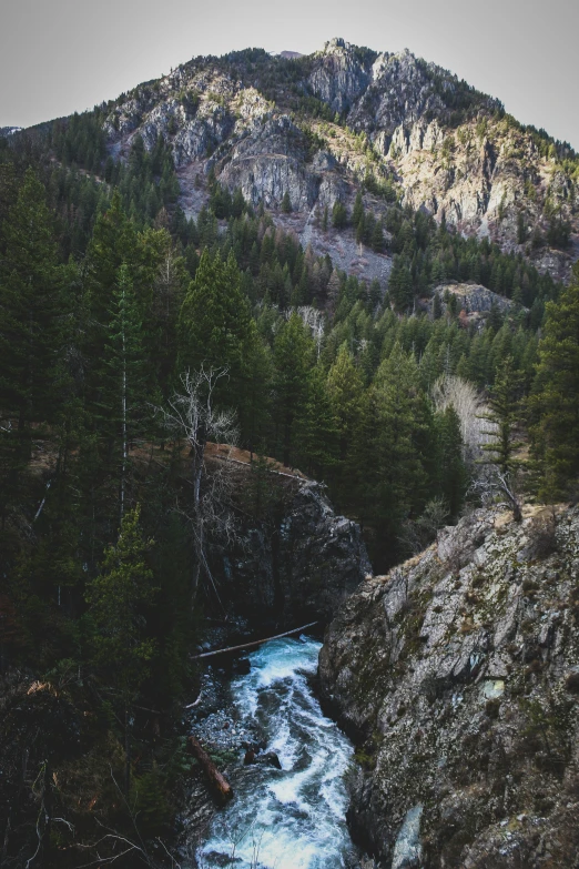 a river flows through the forest in front of a mountain