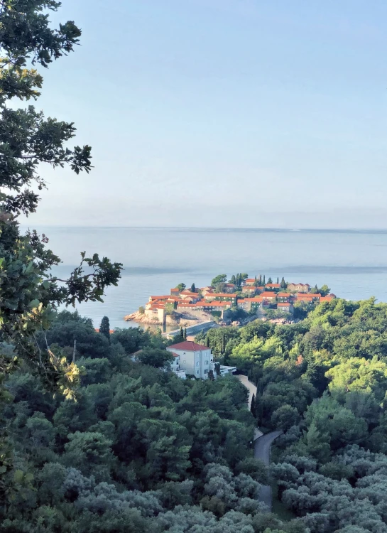 the view of a town from a hill