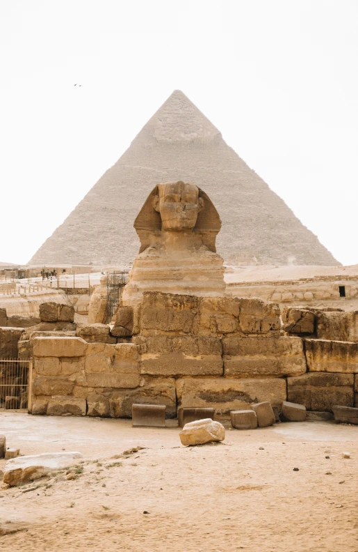 an ancient giraffe and a stone pyramid