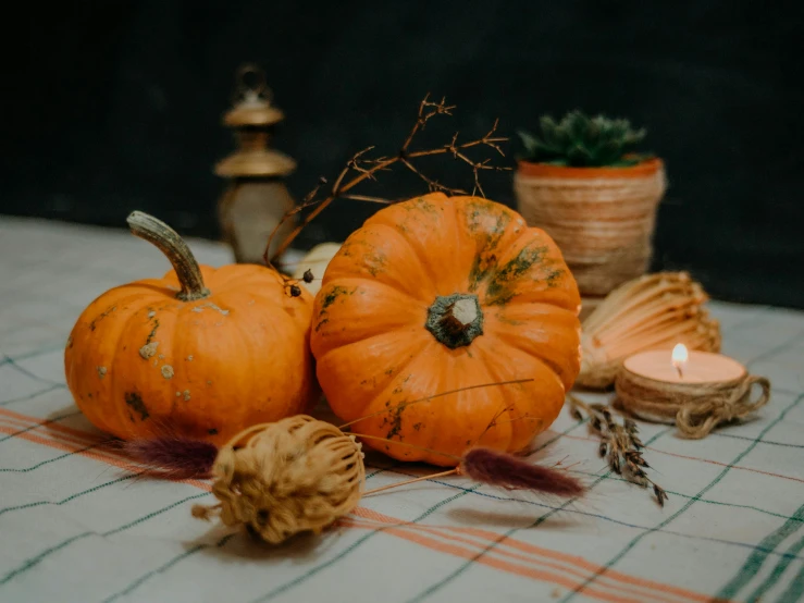 three pumpkins are laid out on a checkered tablecloth