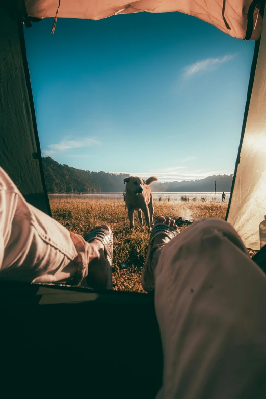 the view of two feet from a tent in front of a cow