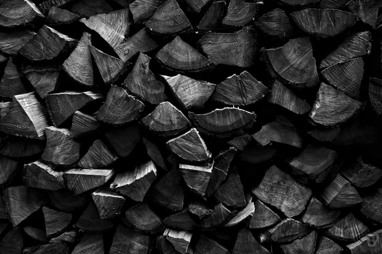 close up of black and white po of wood chips