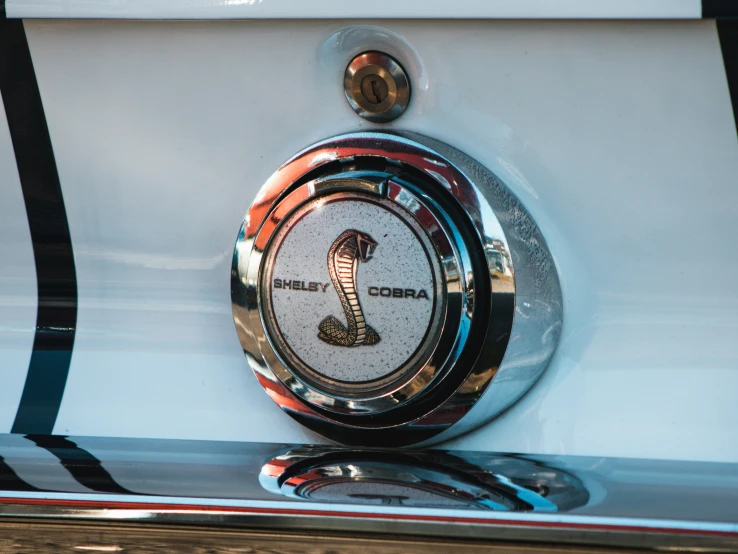 a grille and emblem of the famous rally co