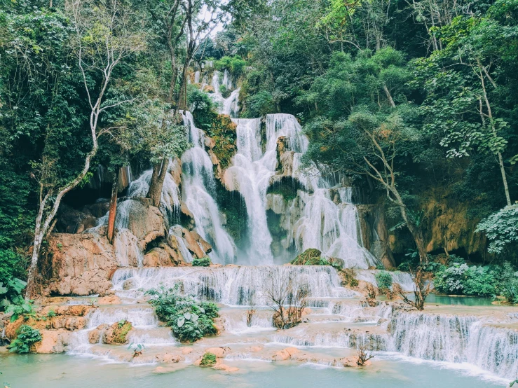 the water fall in the forest is clear