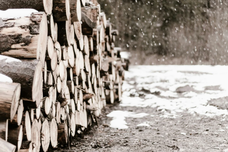 a wooden log rack with lots of logs