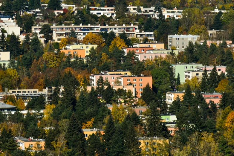 a scenic picture of a town with trees around