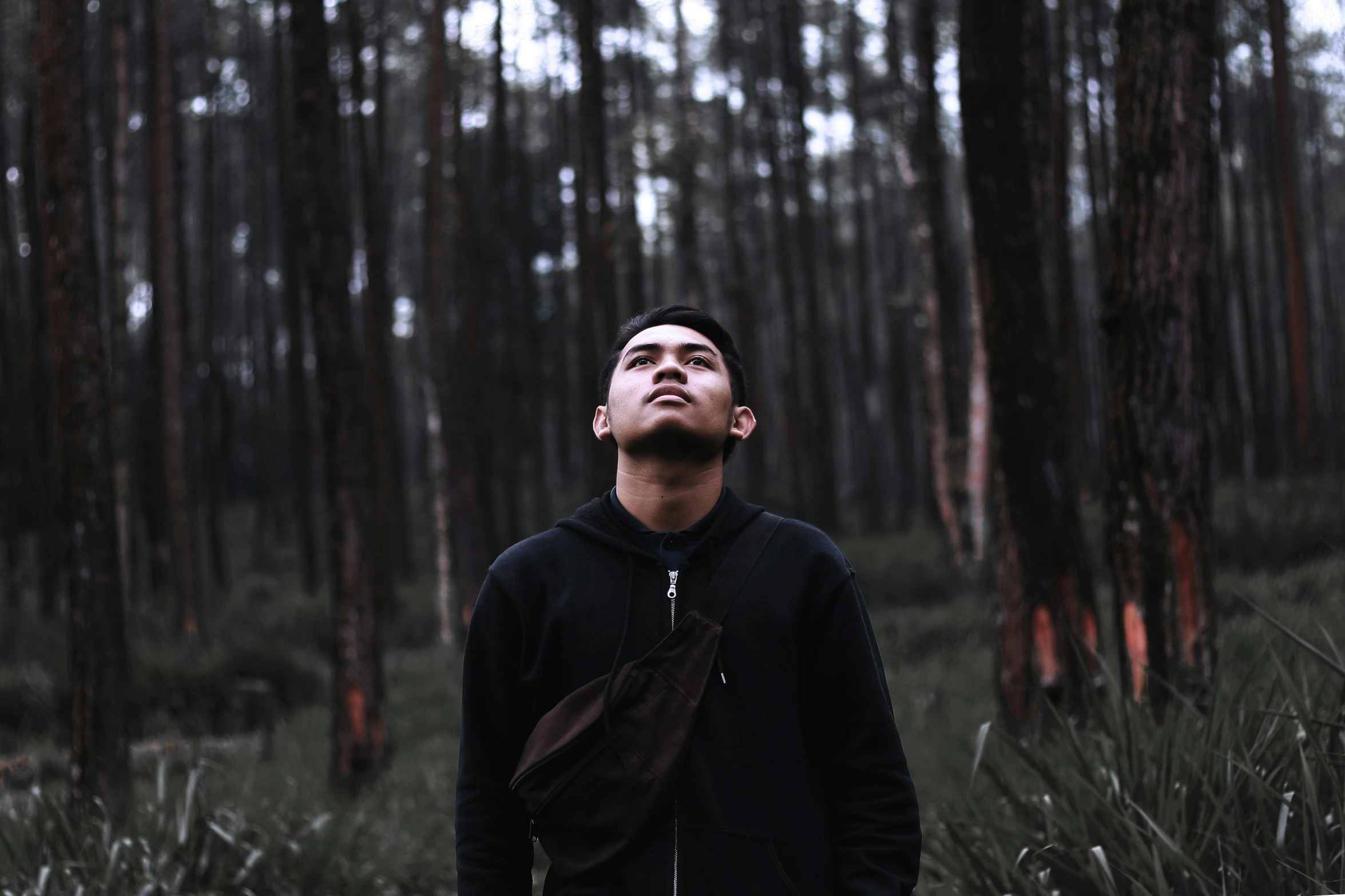 a man standing in the middle of a forest