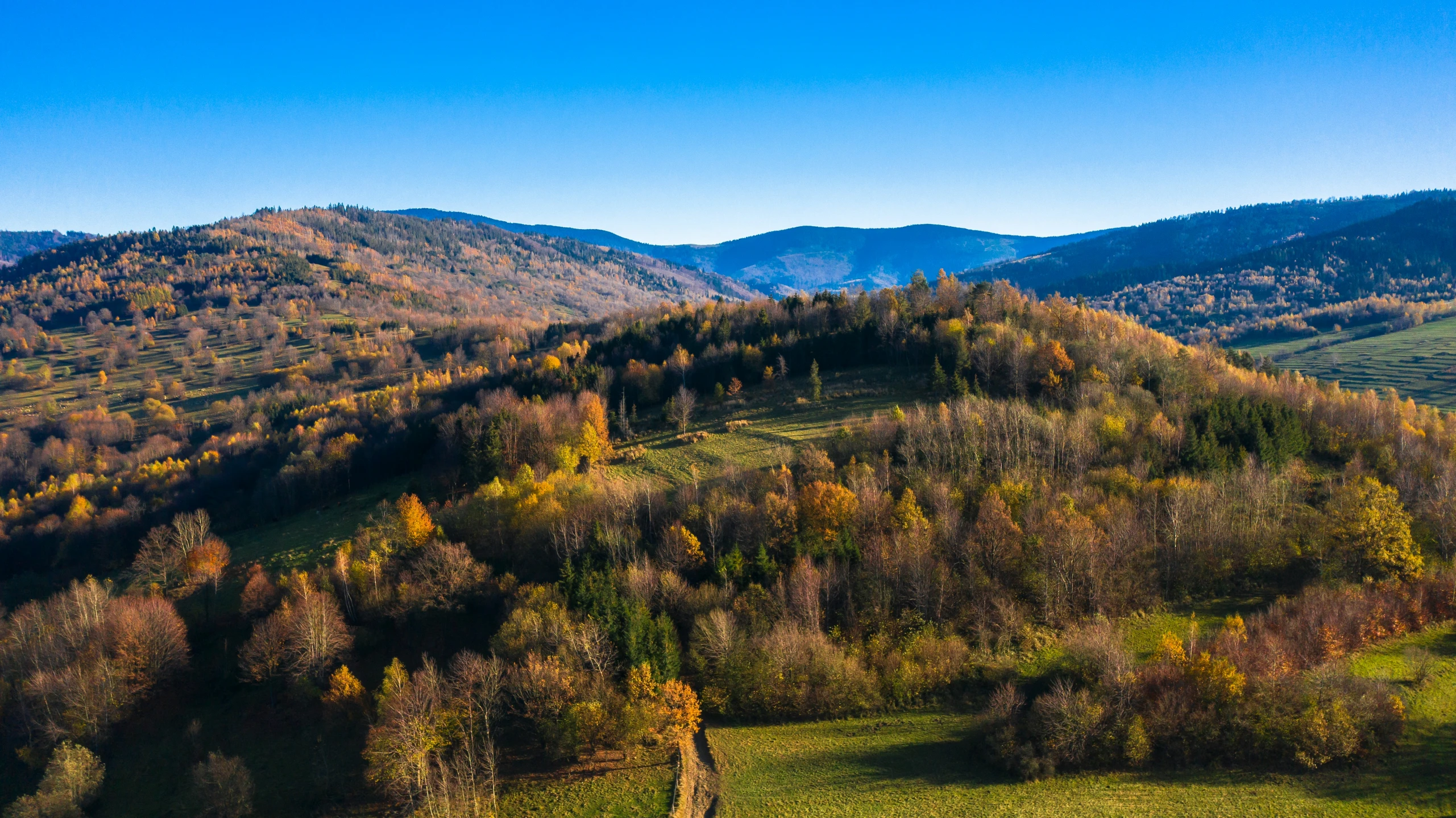 the fall color in the woods and mountains