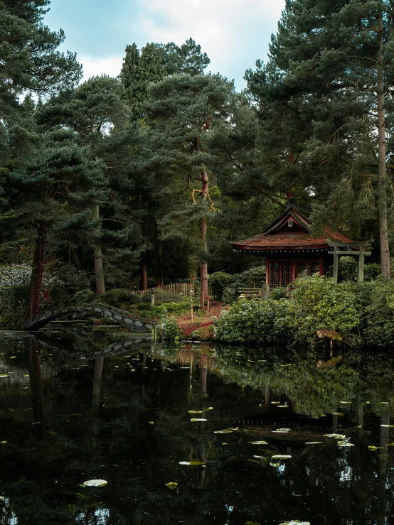 a tree covered area with a lake and a gazebo