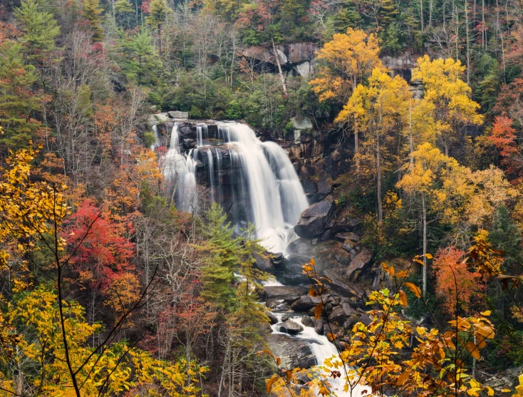 waterfall with fall colors in the foreground and rocks below