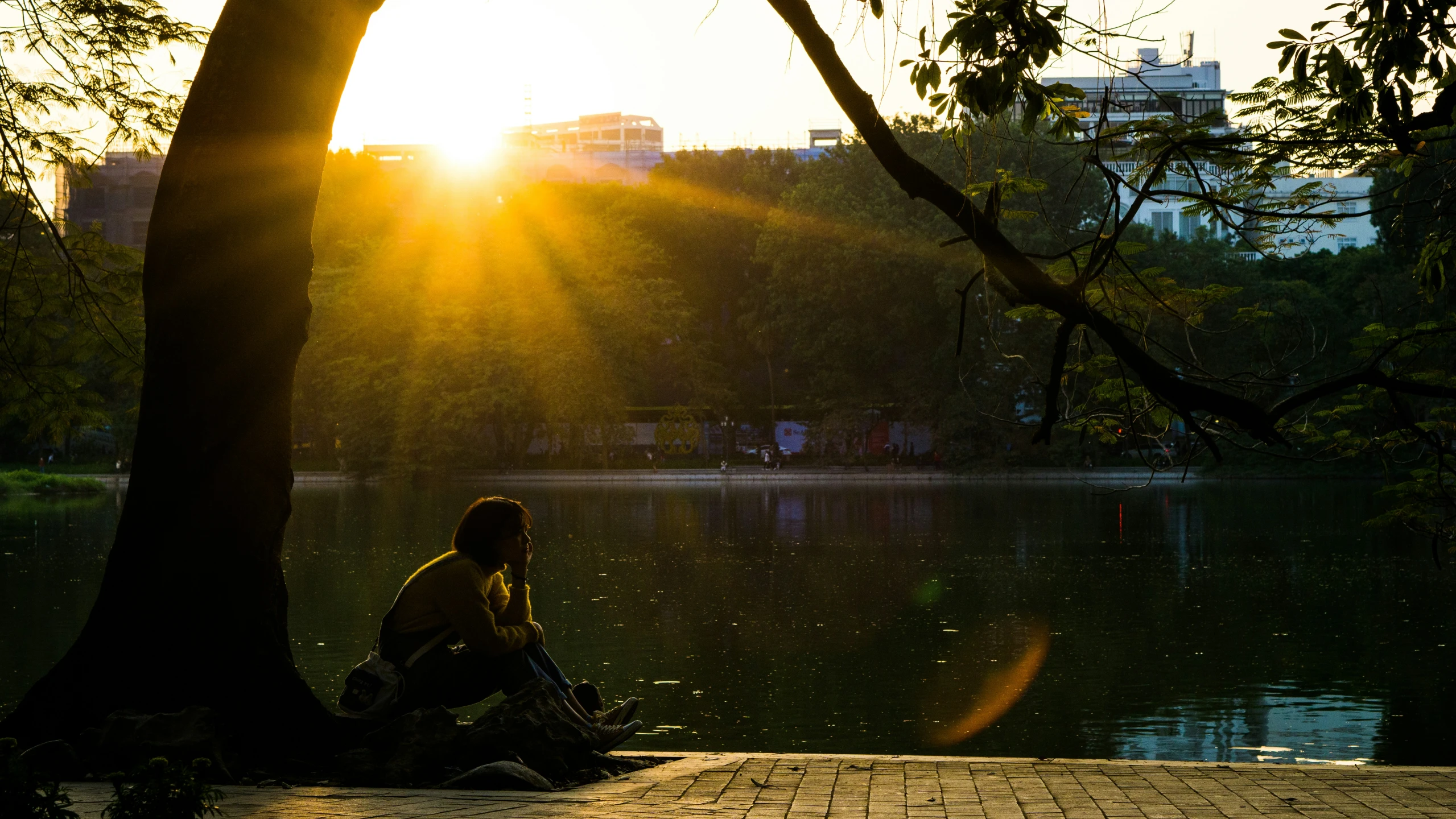 a person sitting by a tree near a lake