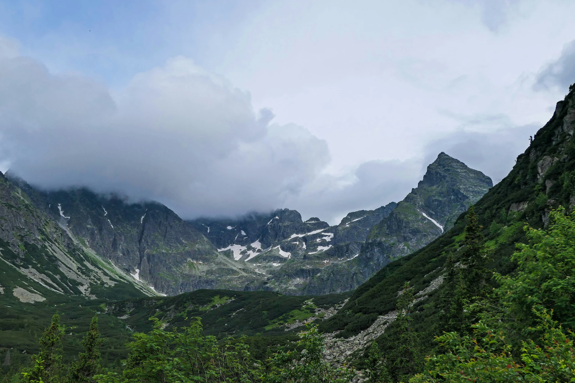 a large mountain covered in trees and snow