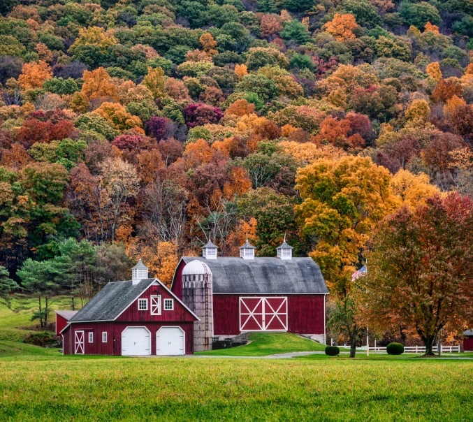 the barn is situated among trees near a mountain