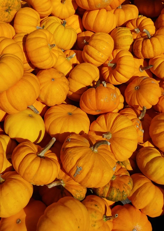 a pile of small orange pumpkins arranged together