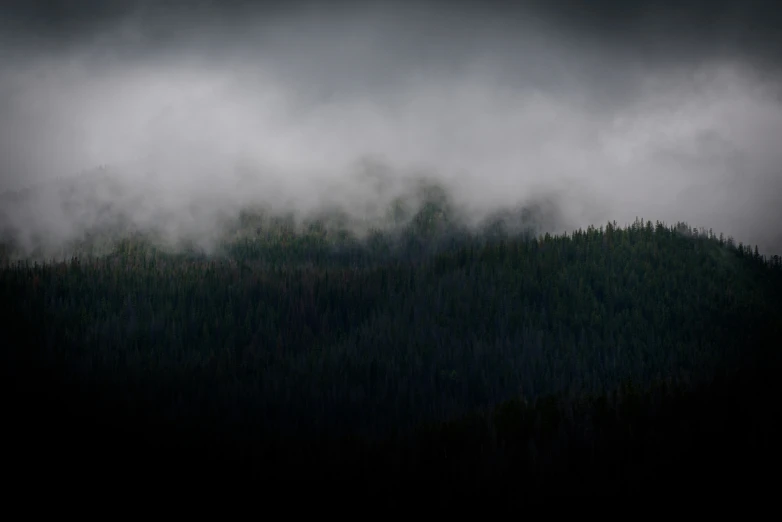 a foggy mountain and the tops of trees are visible