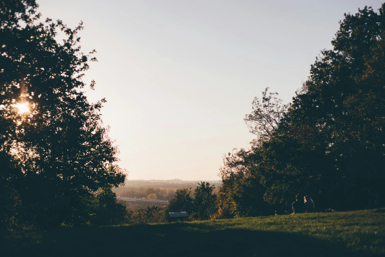 trees with no leaves are seen in the distance, while sun shines through the nches