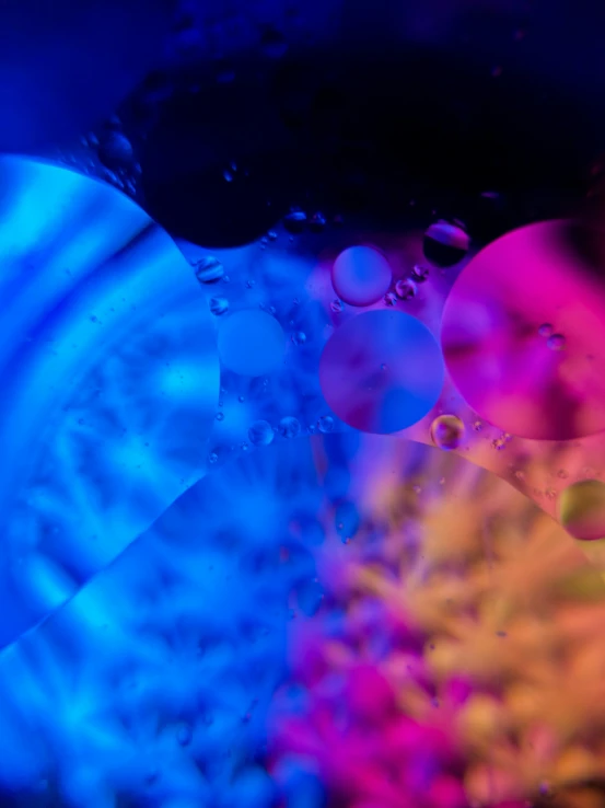 water drops are shown in this colorful po