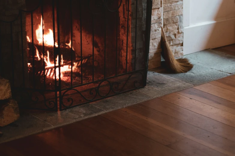 a dog is laying on the floor near a fireplace