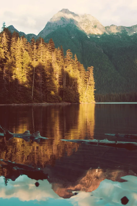 an image of a mountain lake and trees