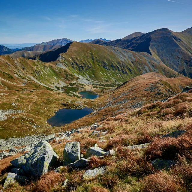 a large rocky field with green grass and small mountains