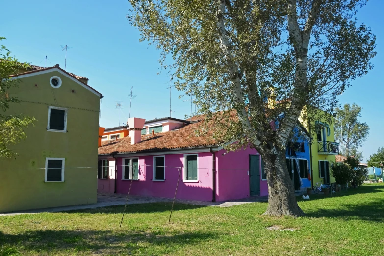 a big tree sitting near to some pink and yellow buildings