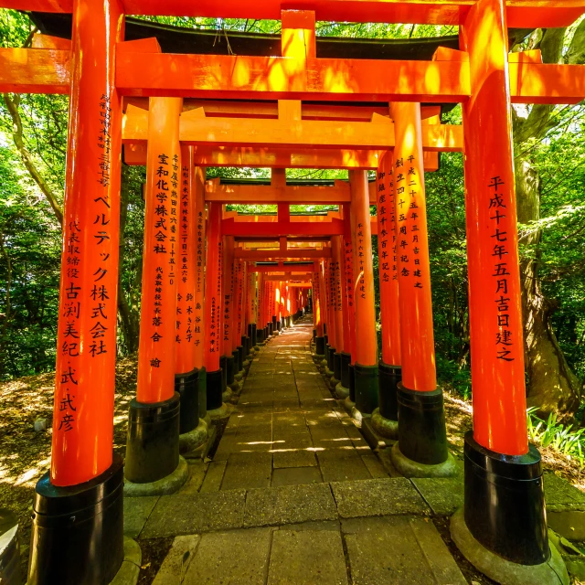 a small pathway lined with large orange columns