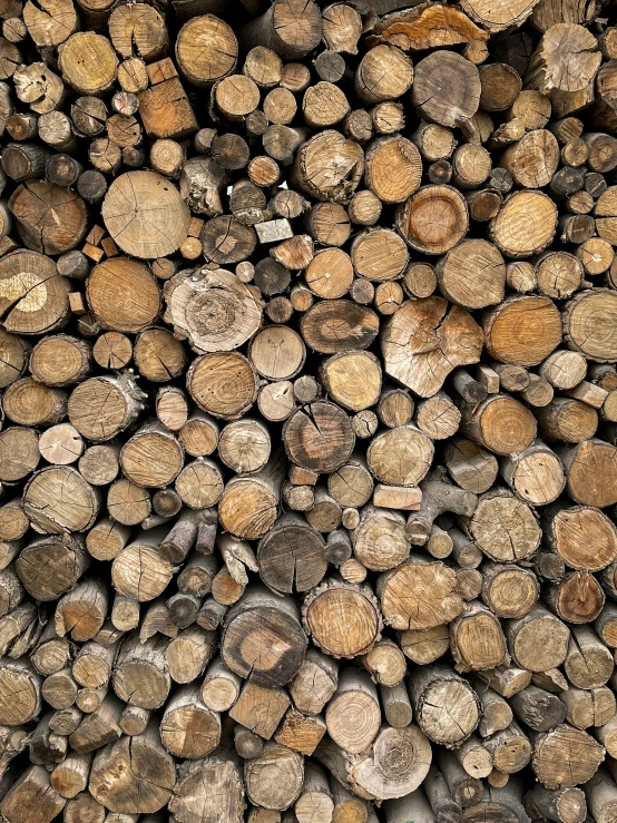 large logs of wood stacked together on each other