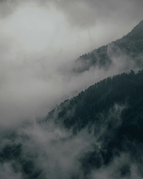 a black and white picture of trees in the mist