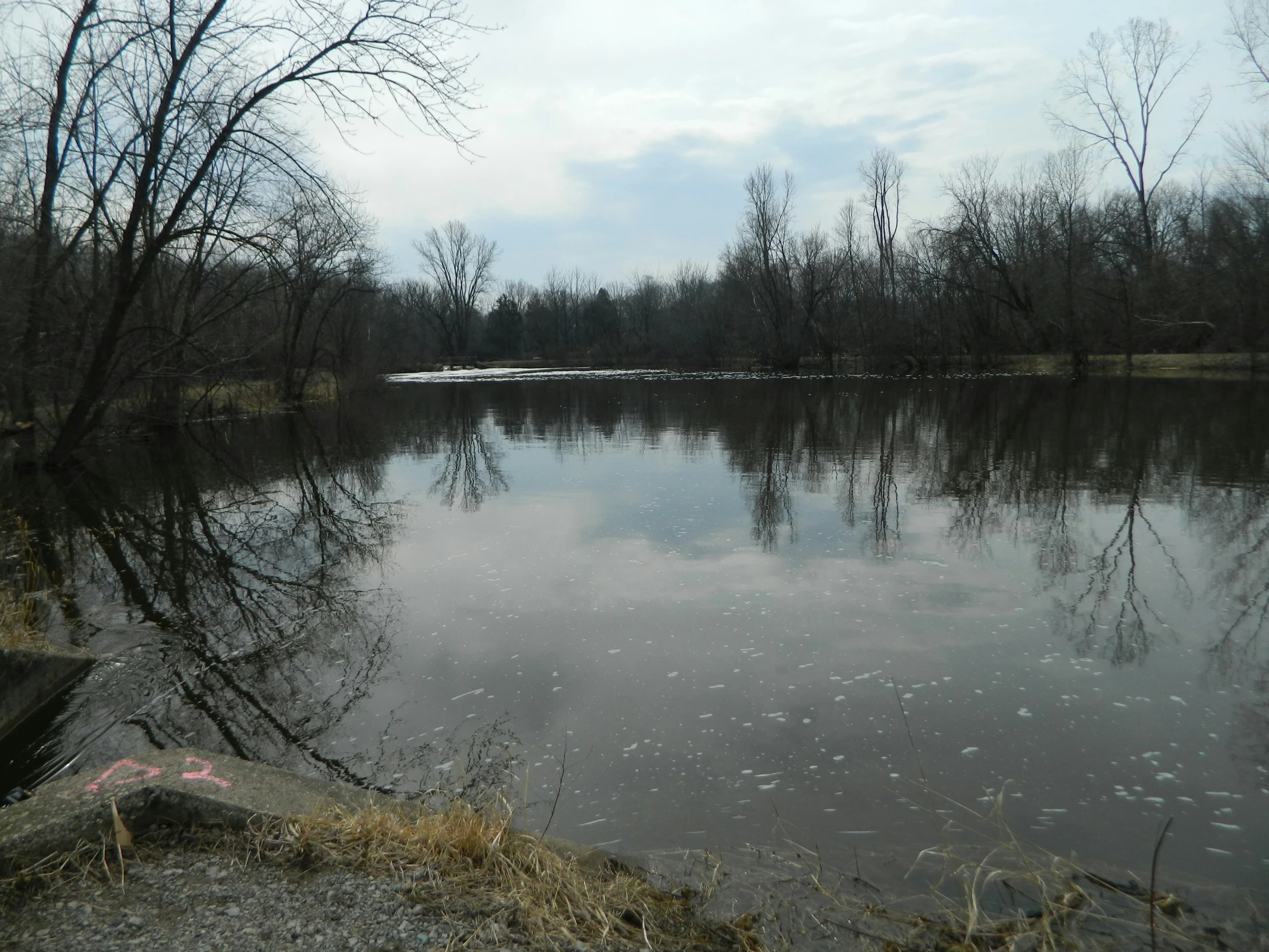 a large body of water surrounded by trees