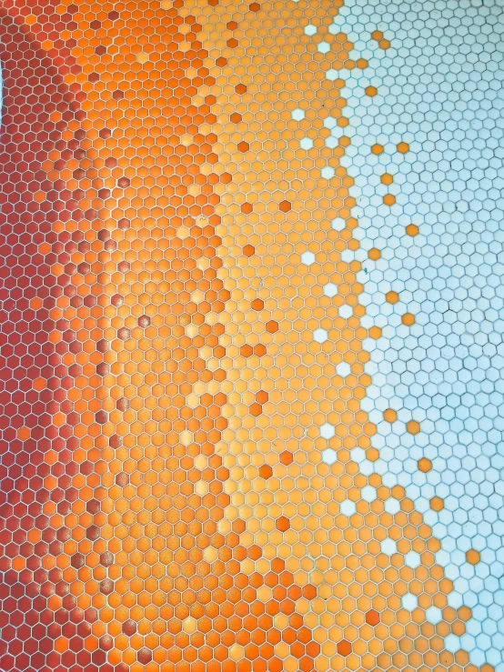 close up of orange and white patterns on a wall