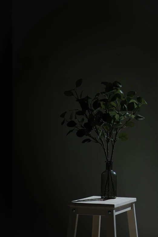 a dark room with a plant in a vase and another table that is empty