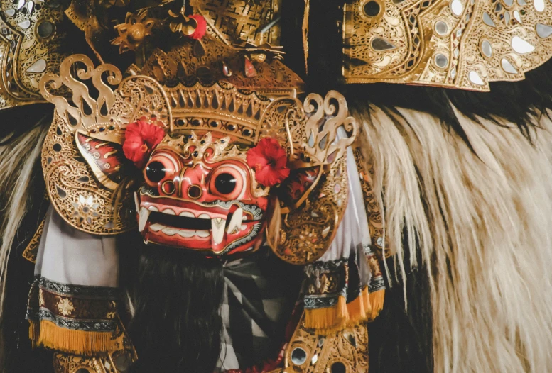 a masked woman wearing colorful costumes and red flowers on it's head