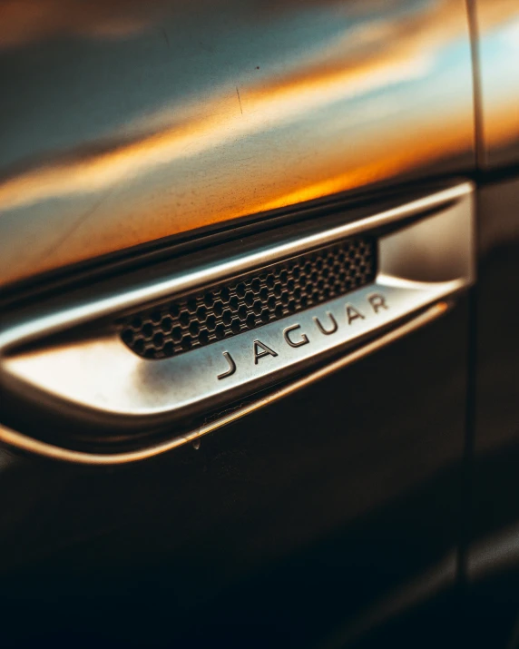 a jaguar door handle with a reflection in it