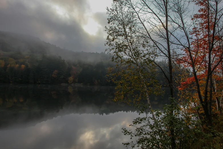 a lake with a few trees around it