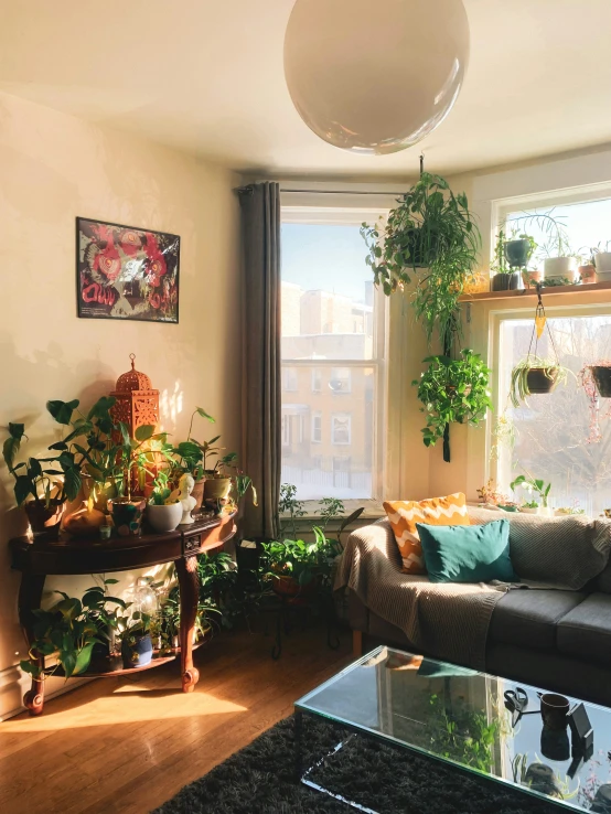 a small living room with plants on the window